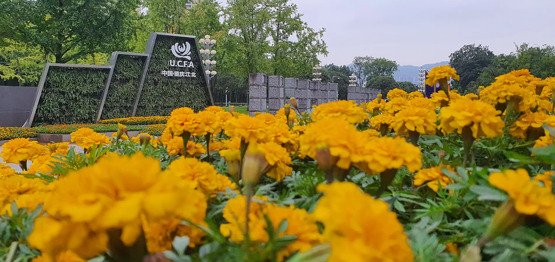 江北嘴中央公园